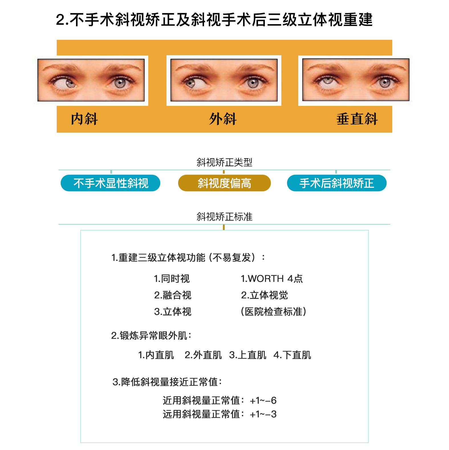 网站视频描述_03.jpg